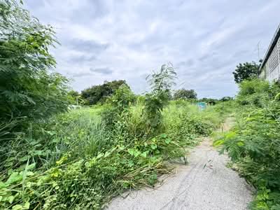 ขาย - ที่ดินพร้อมสิ่งปลูกสร้าง ตำบลปากแรต อำเภอบ้านโป่ง จังหวัดราชบุรี, ราชบุรี