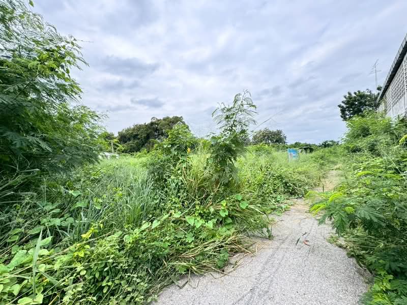 ขาย - ที่ดินพร้อมสิ่งปลูกสร้าง ตำบลปากแรต อำเภอบ้านโป่ง จังหวัดราชบุรี, ราชบุรี