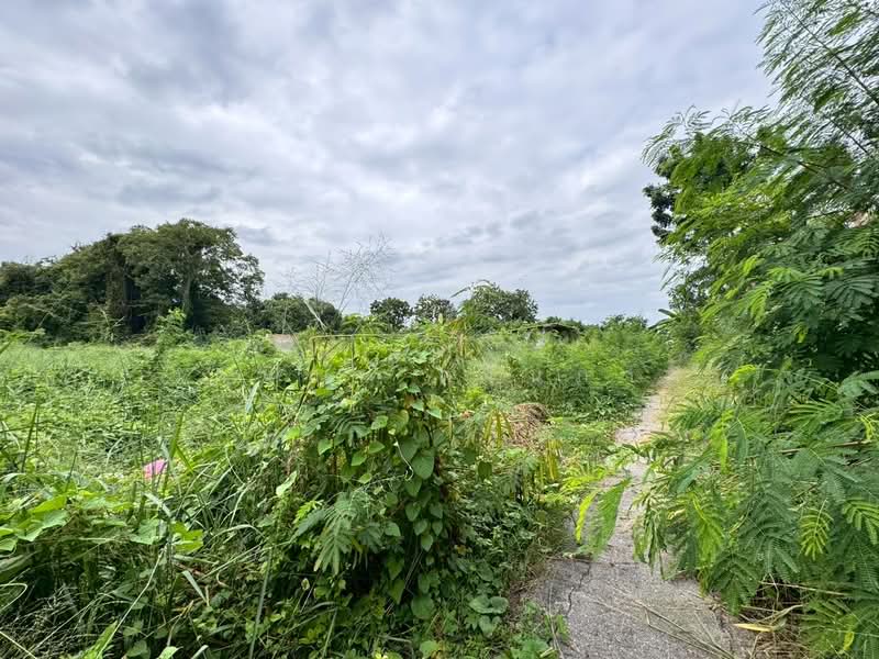 ขาย - ที่ดินพร้อมสิ่งปลูกสร้าง ตำบลปากแรต อำเภอบ้านโป่ง จังหวัดราชบุรี, ราชบุรี