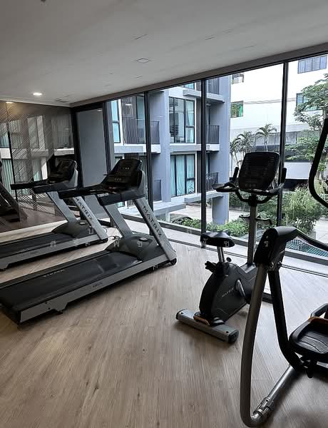 Serio Sukhumvit 50, Bangkok, Soi Sukhumvit 50, Phra Kanong, Khlong Toei, Bangkok, 1 Bedroom, 35 sqm, Condo For Rent, by ปัณณภัสร์​ ศรี​พัชร​พัช​ร์, 500223682 - DDproperty.com