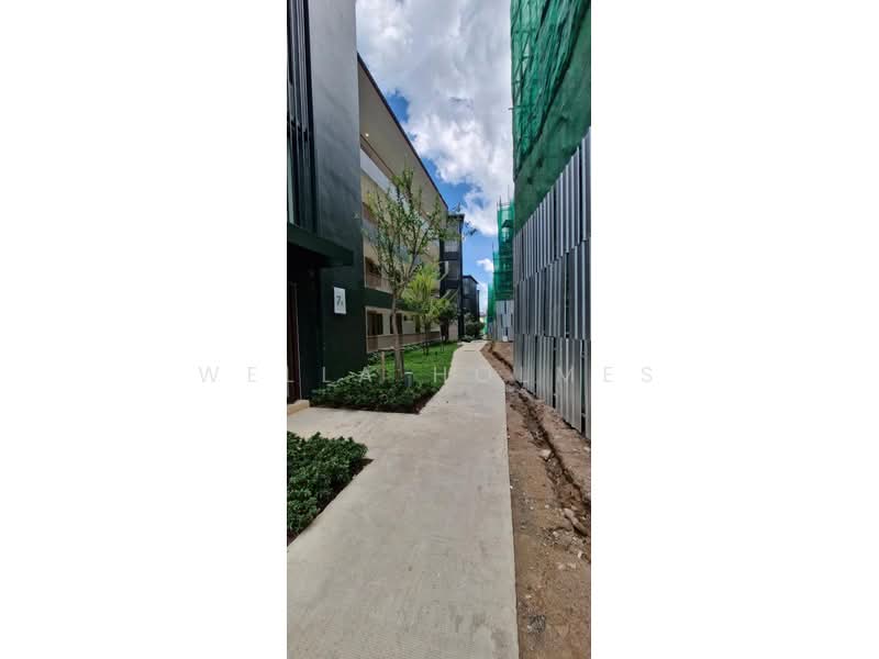 Wing Samui Condo, Surat Thani, Bo Put, Ko Samui, Surat Thani, Studio, 33 sqm, Condo For Rent, by Wella Holmes, 500223802 - DDproperty.com