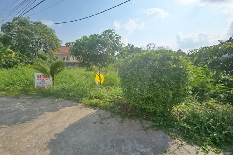 ซอยพหลโยธิน 54/1, กรุงเทพ, คลองถนน, สายไหม, กรุงเทพ, 200 ตร.ม., ที่ดิน ขาย, โดย คุณไอซ์, 500223803 - DDproperty.com