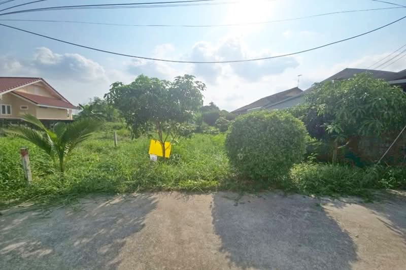 ซอยพหลโยธิน 54/1, กรุงเทพ, คลองถนน, สายไหม, กรุงเทพ, 200 ตร.ม., ที่ดิน ขาย, โดย คุณไอซ์, 500223803 - DDproperty.com