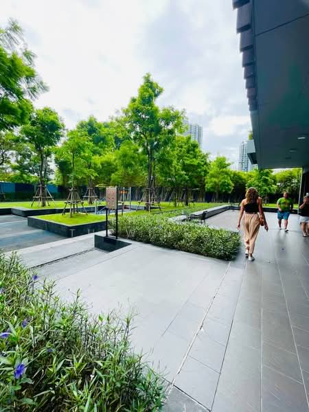 The Base Sukhumvit 77 : เดอะ เบส สุขุมวิท 77, กรุงเทพ, 289 ถนนสุขุมวิท 77, พระโขนงเหนือ, วัฒนา, กรุงเทพ, 31 ตร.ม., คอนโด ให้เช่า, โดย Thida Thewinram, 500223835 - DDproperty.com