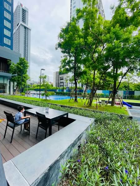 The Base Sukhumvit 77, Bangkok, 289 Sukhumvit 77 Road, Phra Kanong Nua, Watthana, Bangkok, 1 Bedroom, 31 sqm, Condo For Rent, by Thida Thewinram, 500223835 - DDproperty.com