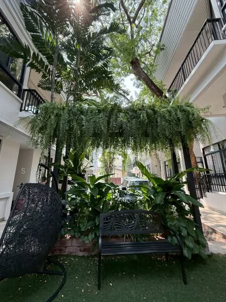 SW38 Place, Bangkok, สุขุมวิท38, Phra Kanong, Khlong Toei, Bangkok, 4 Bedrooms, 350 sqm, Villa For Rent, by Shaporn Supvilaiphisan, 500223922 - DDproperty.com