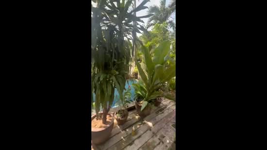 Perfect Place Ramkhamhaeng 164, Bangkok, Soi Ramkhamhaeng 164, Saphan Sung, Saphan Sung, Bangkok, 4 Bedrooms, 318 sqm, Single Detached House For Rent, by วรัทยา สีหนาทสกุล, 500224099 - DDproperty.com