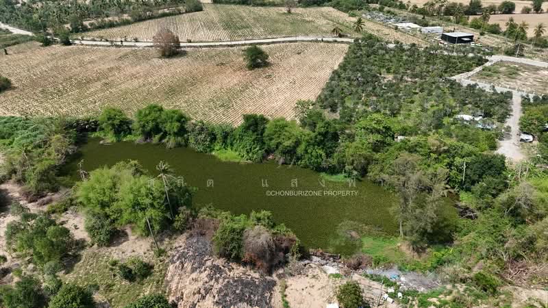 ขายที่ดิน 2 งาน ติดถนน สวนเสือ ศรีราชา, Chon Buri (Pattaya), Surasak, Si Racha, Chon Buri (Pattaya), , 800 sqm, Land For Sale, by Dusit Saengfa, 500224130 - DDproperty.com