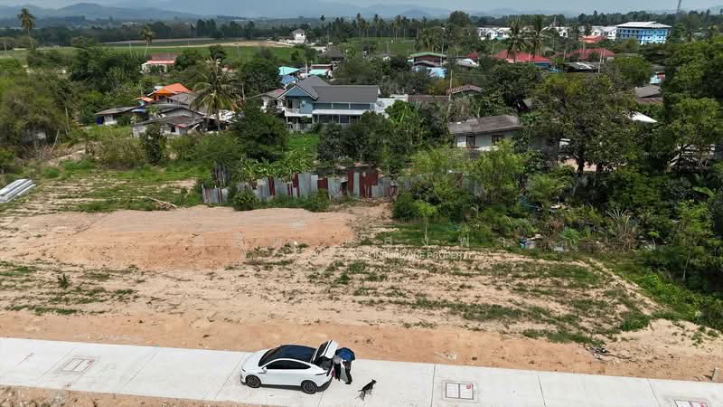 ขายที่ดิน 2 งาน ติดถนน สวนเสือ ศรีราชา, Chon Buri (Pattaya), Surasak, Si Racha, Chon Buri (Pattaya), , 800 sqm, Land For Sale, by Dusit Saengfa, 500224130 - DDproperty.com