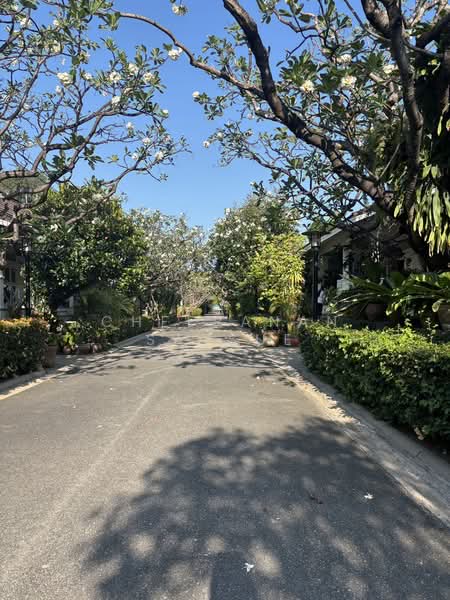 Baan Chalianglom : บ้านเฉลียงลม, ประจวบคีรีขันธ์, หนองแก, หัวหิน, ประจวบคีรีขันธ์, 300 ตร.ม., วิลล่า ให้เช่า, โดย Cheeranan Satsue, 500224134 - DDproperty.com