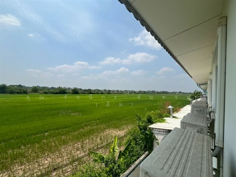 ลลิลทาวน์ ไลโอ & แลนซีโอ คริป ลำลูกกาคลอง 6, Pathum Thani, ถนนลำลูกกา, Bung Kham Proi, Lam Luk Ka, Pathum Thani, 4 Bedrooms, 100 sqm, Townhouse For Sale, by คุณ รัชนีกร จันทร์มา (อิม), 500224266 - DDproperty.com