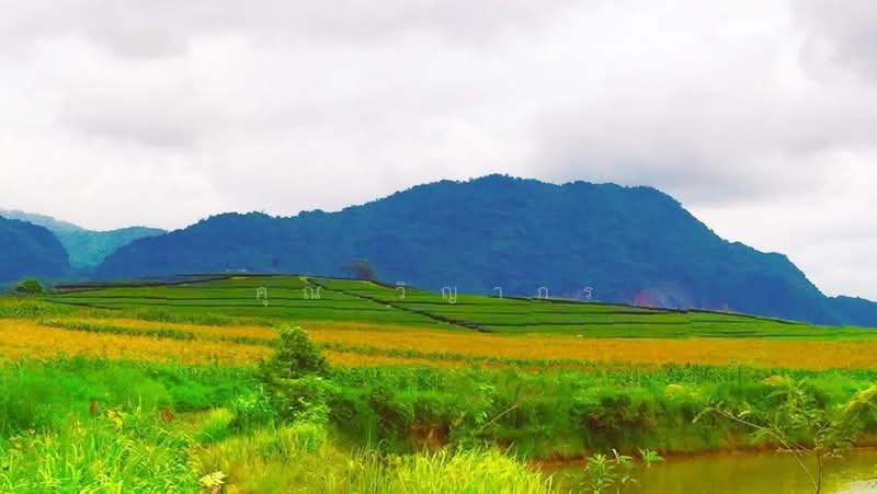 ขายที่ดินพรีเมียมติด Singha Park เชียงราย 14 ไร่ วิวภูเขาพาโนรามา, Chiang Rai, Pa O Don Chai, Muang Chiang Rai, Chiang Rai, , 22,400 sqm, Land For Sale, by คุณ วิญากร, 500224313 - DDproperty.com