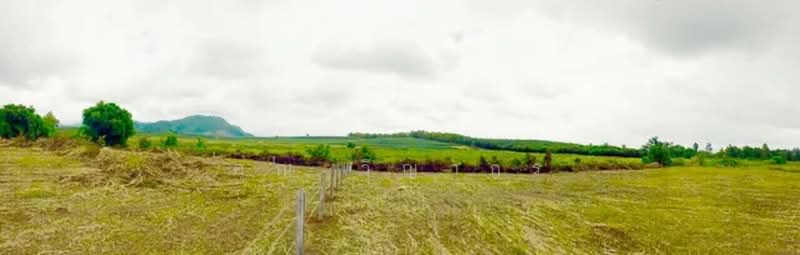 ขายที่ดินพรีเมียมติด Singha Park เชียงราย 14 ไร่ วิวภูเขาพาโนรามา, Chiang Rai, Pa O Don Chai, Muang Chiang Rai, Chiang Rai, , 22,400 sqm, Land For Sale, by คุณ วิญากร, 500224313 - DDproperty.com