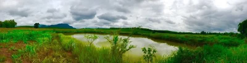 ขายที่ดินพรีเมียมติด Singha Park เชียงราย 14 ไร่ วิวภูเขาพาโนรามา, Chiang Rai, Pa O Don Chai, Muang Chiang Rai, Chiang Rai, , 22,400 sqm, Land For Sale, by คุณ วิญากร, 500224313 - DDproperty.com