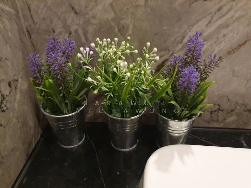 ASHTON Asoke, Bangkok, 131 Asoke Montri Road, Khlongtoei Nua, Watthana, Bangkok, 1 Bedroom, 30 sqm, Condo For Sale, by Sarawut Ratchawong, 500224425 - DDproperty.com