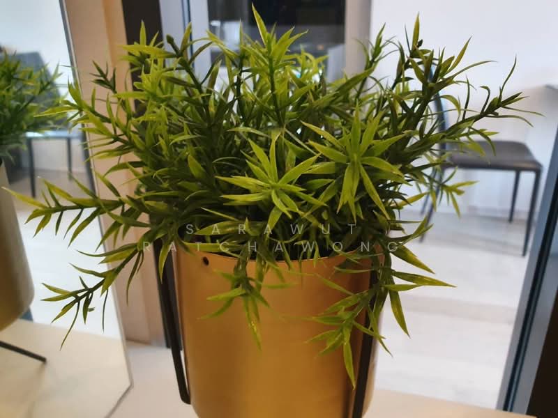 ASHTON Asoke, Bangkok, 131 Asoke Montri Road, Khlongtoei Nua, Watthana, Bangkok, 1 Bedroom, 30 sqm, Condo For Sale, by Sarawut Ratchawong, 500224425 - DDproperty.com