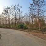 ที่ดินเกาะคา ลำปาง, ลำปาง