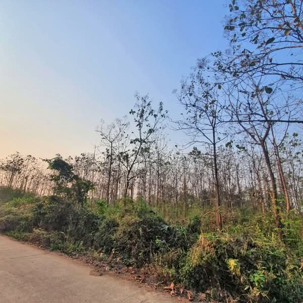 ที่ดินเกาะคา ลำปาง, Lampang, Na Kaeo, Ko Kha, Lampang, , 5,492 sqm, Land For Sale, by The Best Property ปุ้ย, 500224655 - DDproperty.com