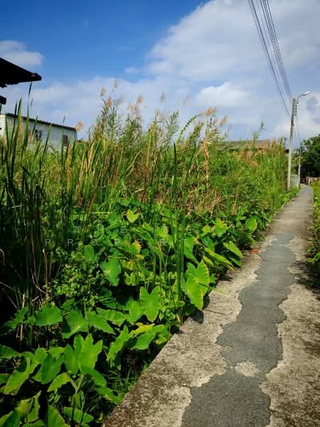 ที่ดินบางกร่าง นนทบุรี, Nonthaburi, Bang Krang, Muang Nonthaburi, Nonthaburi, , 396 sqm, Land For Sale, by The Best Property โบว์, 500224679 - DDproperty.com