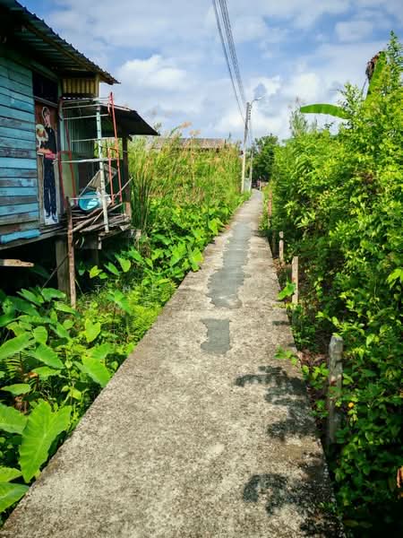 ที่ดินบางกร่าง นนทบุรี, Nonthaburi, Bang Krang, Muang Nonthaburi, Nonthaburi, , 396 sqm, Land For Sale, by The Best Property โบว์, 500224679 - DDproperty.com