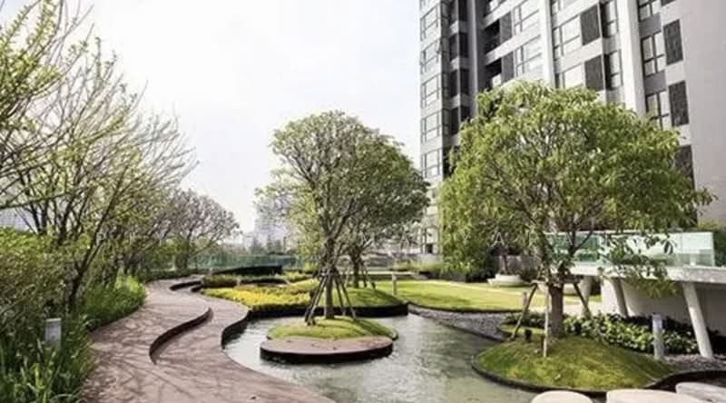 Rhythm Sukhumvit 44/1, Bangkok, Sukhumvit Road, Phra Kanong, Khlong Toei, Bangkok, 1 Bedroom, 48 sqm, Condo For Rent, by Piyawan Maiyapan, 500224690 - DDproperty.com