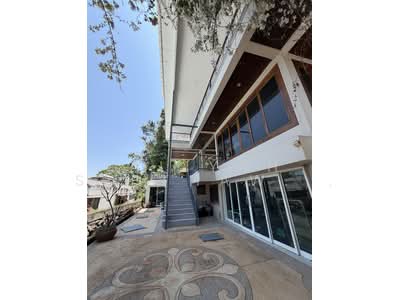 ขาย - ป่าตอง, ภูเก็ต