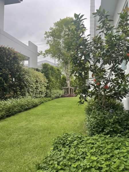 Mantana Bangna-Wongwaen, Bangkok, Soi Ramkhamhaeng 2, Dok Mai, Prawet, Bangkok, 4 Bedrooms, 222 sqm, Single Detached House For Rent, by NR AGENT, 500224932 - DDproperty.com