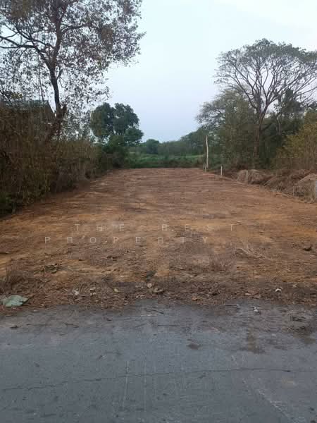 ที่ดินวังตะเคียน ฉะเชิงเทรา, Chachoengsao, Wang Ta Khian, Muang Chachoengsao, Chachoengsao, , 456 sqm, Land For Sale, by The Best Property ซายน์, 500224950 - DDproperty.com