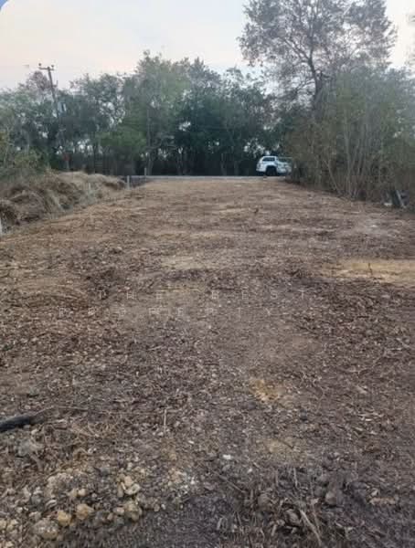 ที่ดินวังตะเคียน ฉะเชิงเทรา, Chachoengsao, Wang Ta Khian, Muang Chachoengsao, Chachoengsao, , 456 sqm, Land For Sale, by The Best Property ซายน์, 500224950 - DDproperty.com