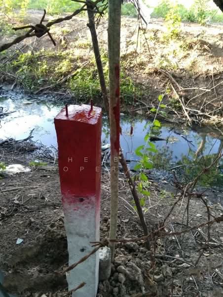 ที่ดินวังตะเคียน ฉะเชิงเทรา, Chachoengsao, Wang Ta Khian, Muang Chachoengsao, Chachoengsao, , 456 sqm, Land For Sale, by The Best Property ซายน์, 500224950 - DDproperty.com