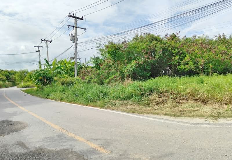 ขาย - ที่ดินหน้าเมือง ฉะเชิงเทรา, ฉะเชิงเทรา