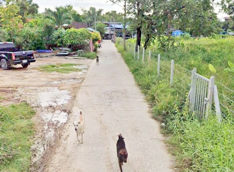 ขาย - ที่ดินหน้าเมือง ฉะเชิงเทรา, ฉะเชิงเทรา