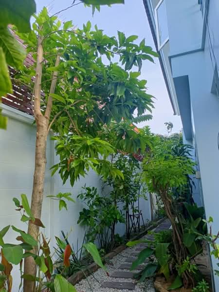 SENA Ville Ramindra - KM 8 : เสนา วิลล์ รามอินทรา - กม.8, กรุงเทพ, ท่าแร้ง, บางเขน, กรุงเทพ, 168 ตร.ม., บ้านเดี่ยว ขาย, โดย Connex Property, 500225156 - DDproperty.com