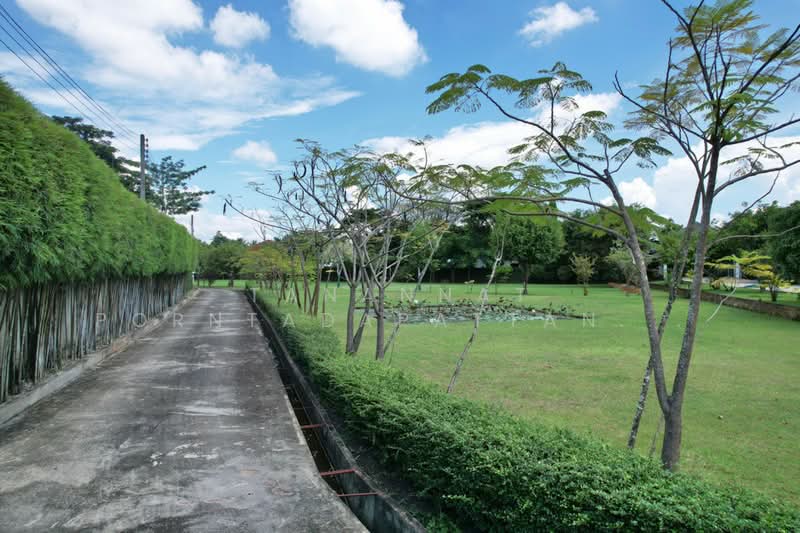 For Rent - สารภี, Chiang Mai