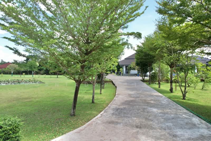 For Rent - สารภี, Chiang Mai