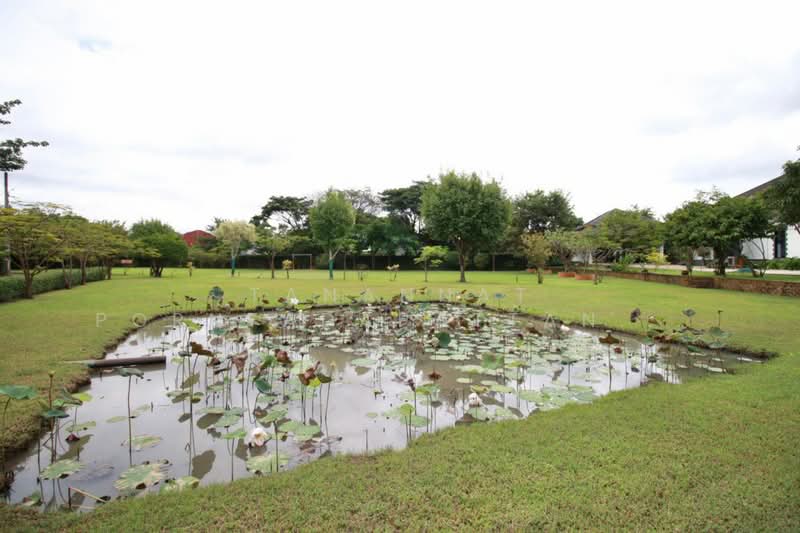 For Rent - สารภี, Chiang Mai