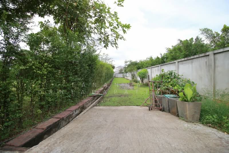 For Rent - สารภี, Chiang Mai