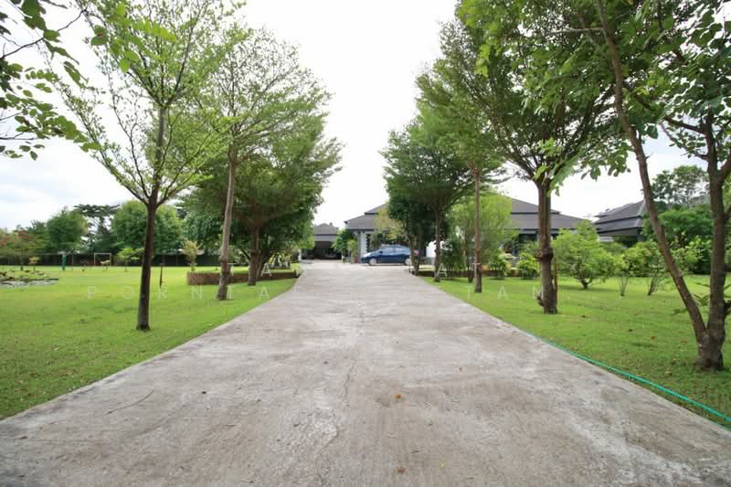 For Rent - สารภี, Chiang Mai