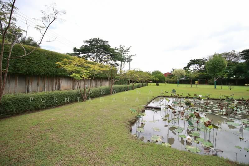 For Rent - สารภี, Chiang Mai