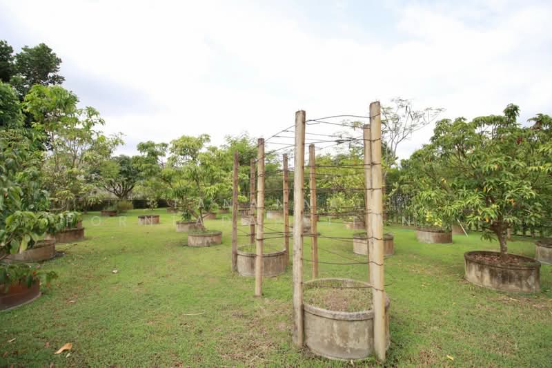 For Rent - สารภี, Chiang Mai