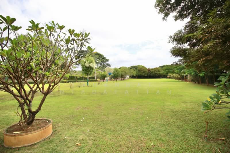 For Rent - สารภี, Chiang Mai