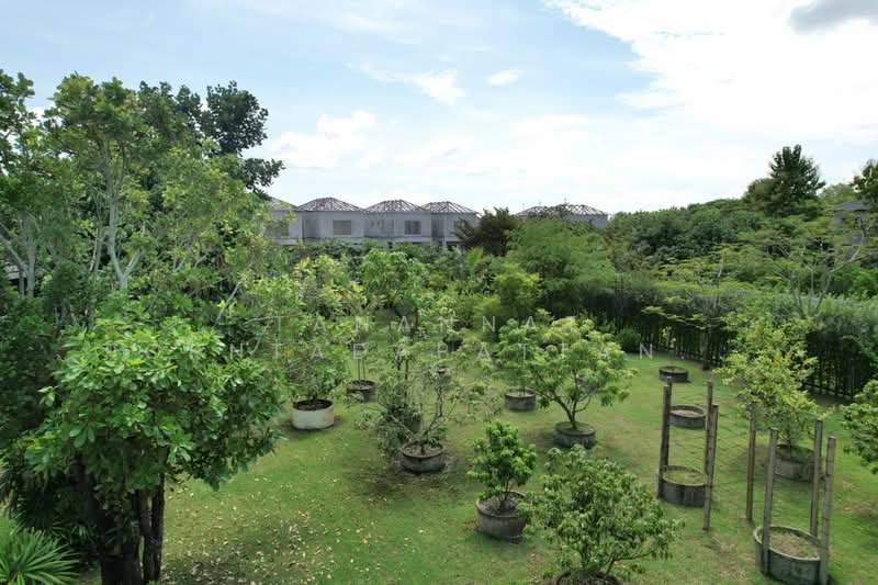 For Rent - สารภี, Chiang Mai