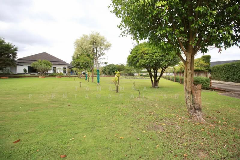 ให้เช่า - สารภี, เชียงใหม่