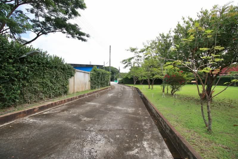 For Rent - สารภี, Chiang Mai