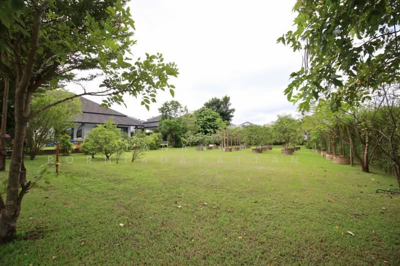 For Rent - สารภี, Chiang Mai