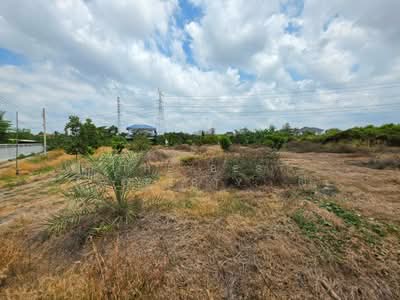 ขาย - ที่ดินพร้อมสิ่งปลูกสร้างทุ่งครุ กรุงเทพมหานคร, กรุงเทพ