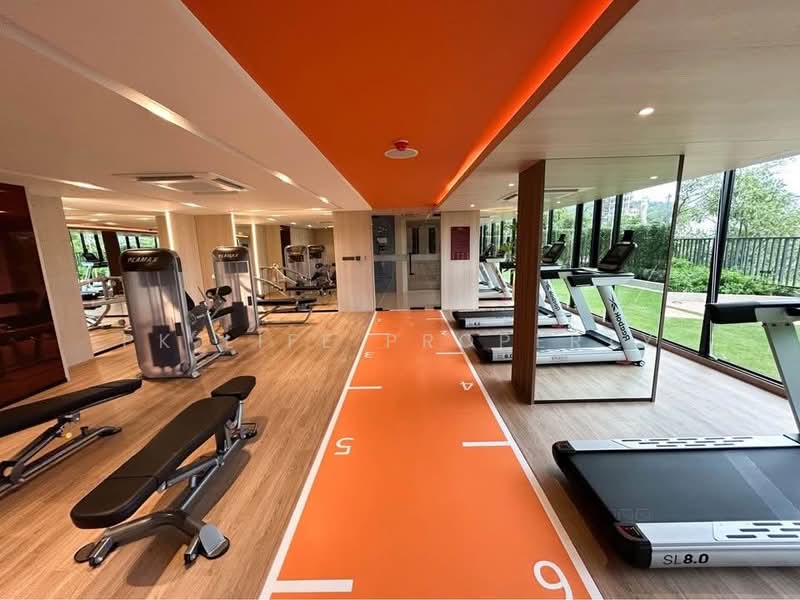 The Base Bukit Phuket : เดอะ เบส บูกิต, ภูเก็ต, 12 ถ.วิชิตสงคราม, วิชิต, เมืองภูเก็ต, ภูเก็ต, 34 ตร.ม., คอนโด ให้เช่า, โดย PK LIFE Property, 500225294 - DDproperty.com