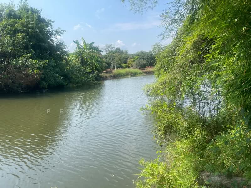 ที่ดินตะพง ระยอง, Rayong, Taphong, Muang Rayong, Rayong, , 8,052 sqm, Land For Sale, by The Best Property ชมพู่, 500225302 - DDproperty.com