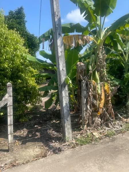 ที่ดินตะพง ระยอง, Rayong, Taphong, Muang Rayong, Rayong, , 8,052 sqm, Land For Sale, by The Best Property ชมพู่, 500225302 - DDproperty.com