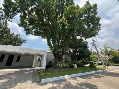 ขาย - ขายพูลวิลล่า นิชดาธานี ขนาด 1 ไร่, 4 ห้องนอน @ปากเกร็ด นนทบุรี, นนทบุรี